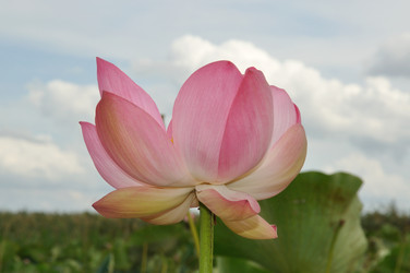 Similar image 257848