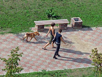 Similar image 257854