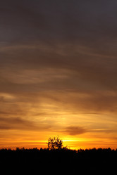 Similar image 257859