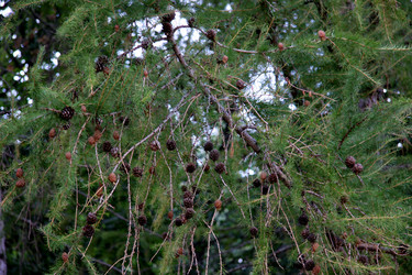 Similar image 257869