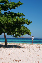 Similar image 257875