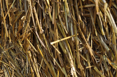 Similar image 257889