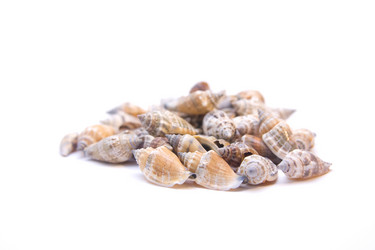 Similar image 257895