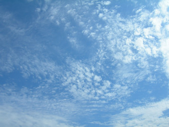 Similar image 257916