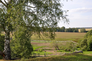 Similar image 257946