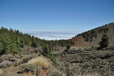 Similar image 257947