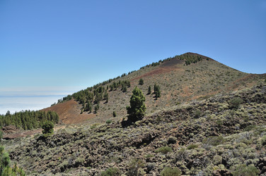 Similar image 257948