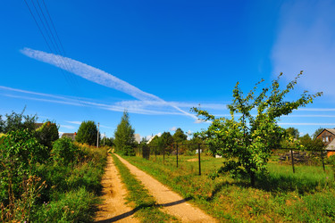 Similar image 257950