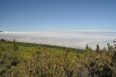 Similar image 257953