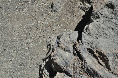 Similar image 257961