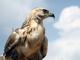 Similar image 257963