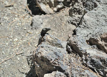 Similar image 257964