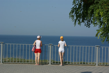 Similar image 257967