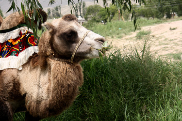 Similar image 257969