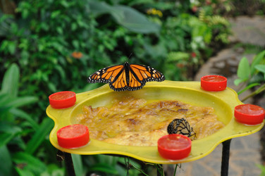 Similar image 257977