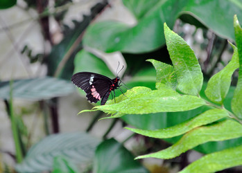 Similar image 257980