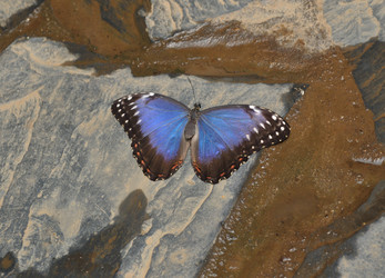 Similar image 257982