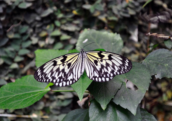 Similar image 257984