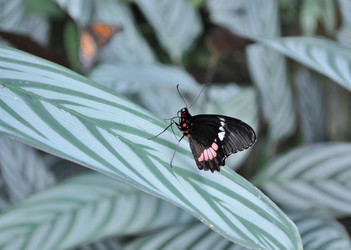 Similar image 257985