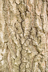 Similar image 257992