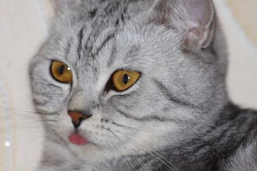 Similar image 257993