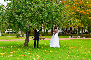 Similar image 258043