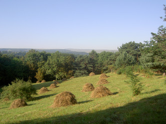 Similar image 258083