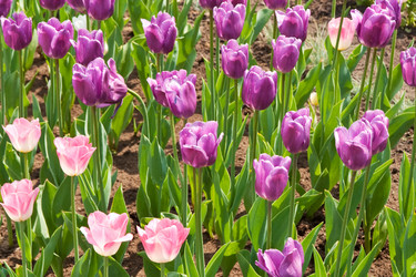 Similar image 258089