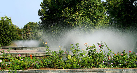 Similar image 258091