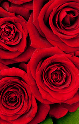 Similar image 258103