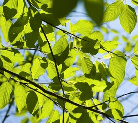 Similar image 258171