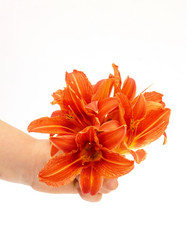 Similar image 258204