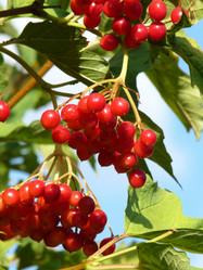 Similar image 258206