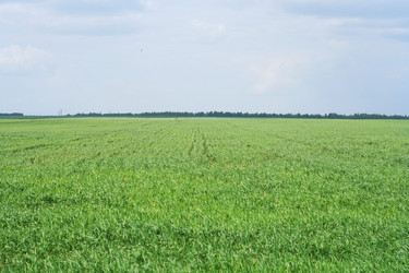 Similar image 258225