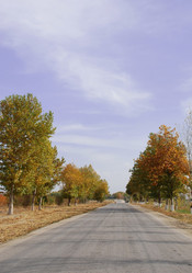 Similar image 258227