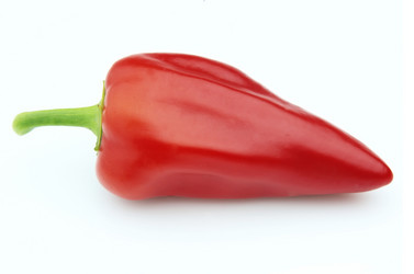 Similar image 258231