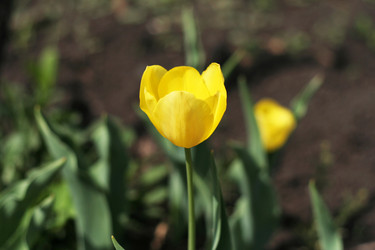 Similar image 258234