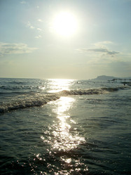 Similar image 258243