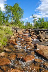 Similar image 258246