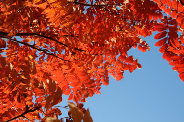 Similar image 258251