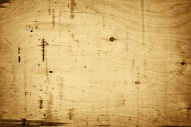 Similar image 258261