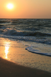 Similar image 258263