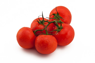 Similar image 258288