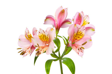 Similar image 258296