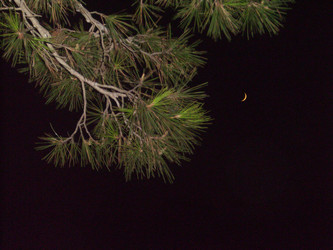 Similar image 258321