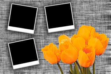 Similar image 258324