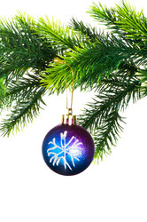 Similar image 258329