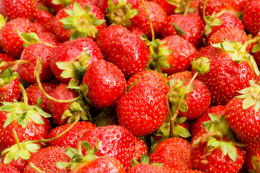 Similar image 258351