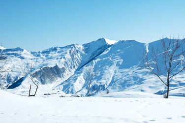 Similar image 258353