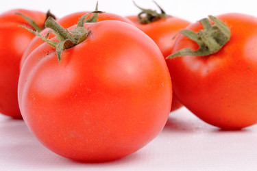 Similar image 258387